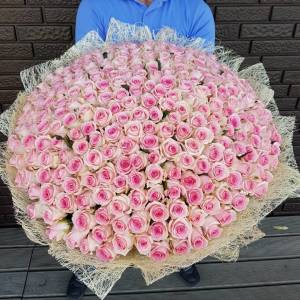 301 розовых роз, цветы в букете R922